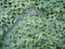 filet de camouflage vert filet de camouflage filet aveuglant de camouflage pour la décoration et filet de parasol vert vert pour les jardins